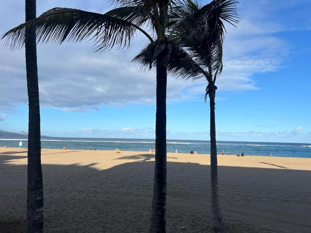 Las Canteras Con Alma لاس بالماس دي غران كاناريا المظهر الخارجي الصورة